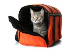 travel-cat-carrier-with-litter-box